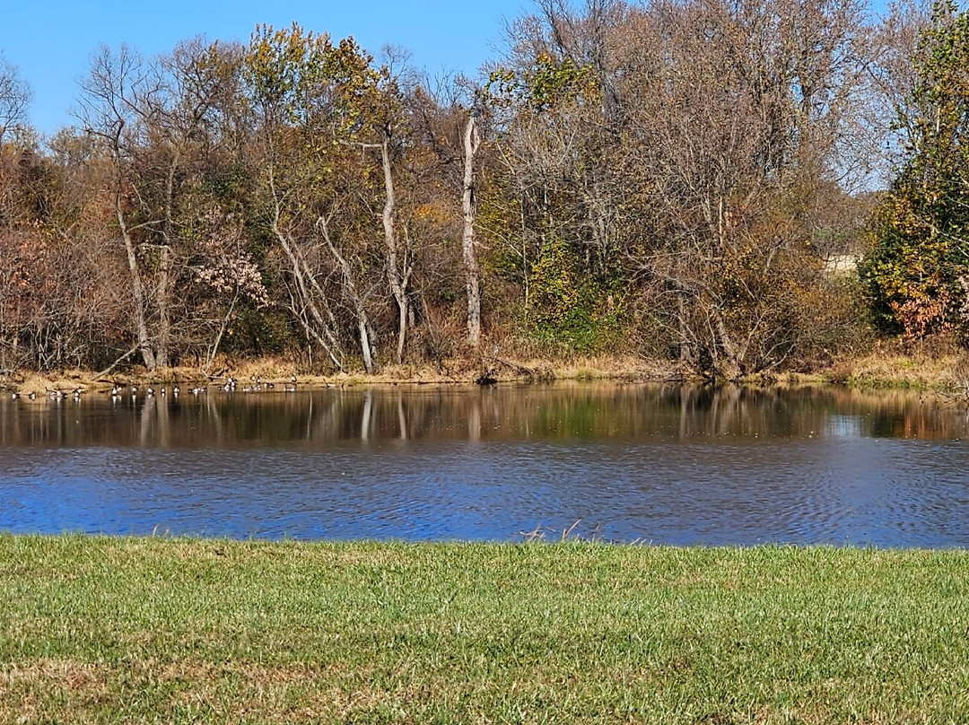 Bynum Run Conservation Area景点图片