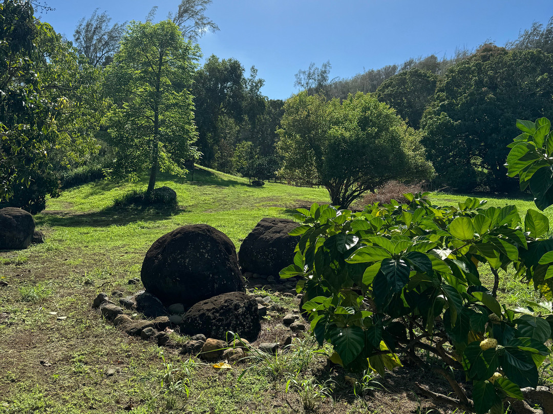 夏威夷岛霍欧马鲁西亚阿虎普哈库疗养酒店主图