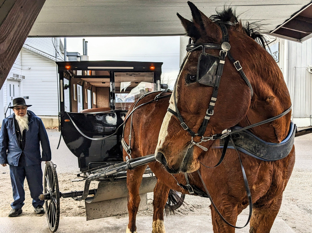 Buggy Lane Tours-Shipshewana必去景点