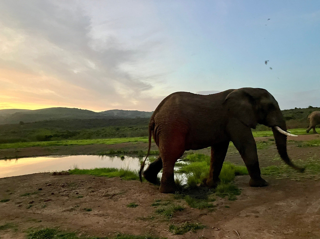 Durban Safaris and Tours景点图片