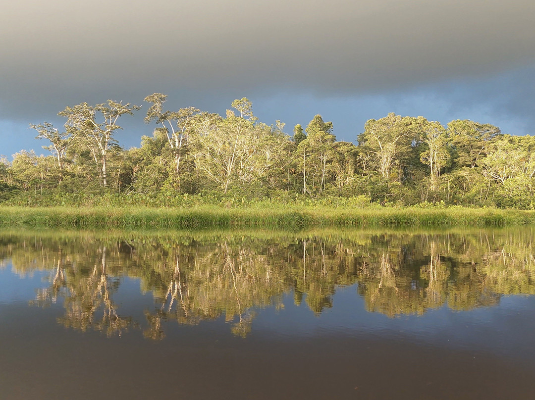 Parque Nacional del Yasuni - Fernando guia en la Amazonia景点图片