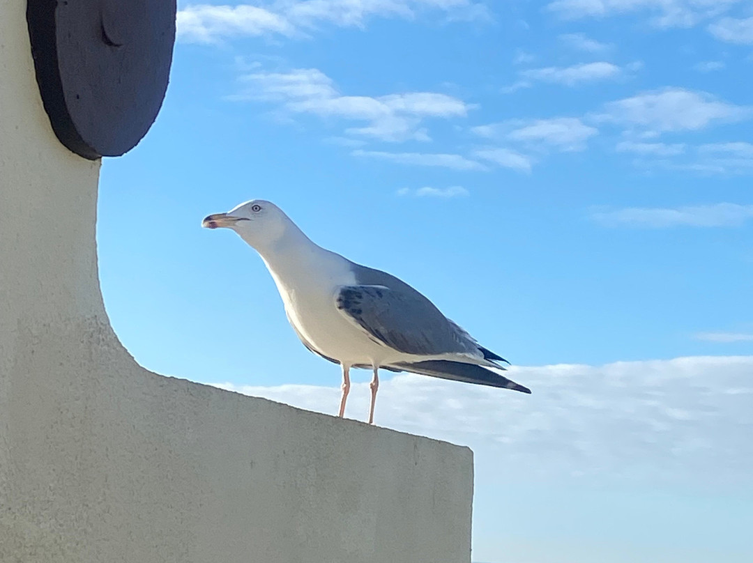 Pestana Alvor Praia主图