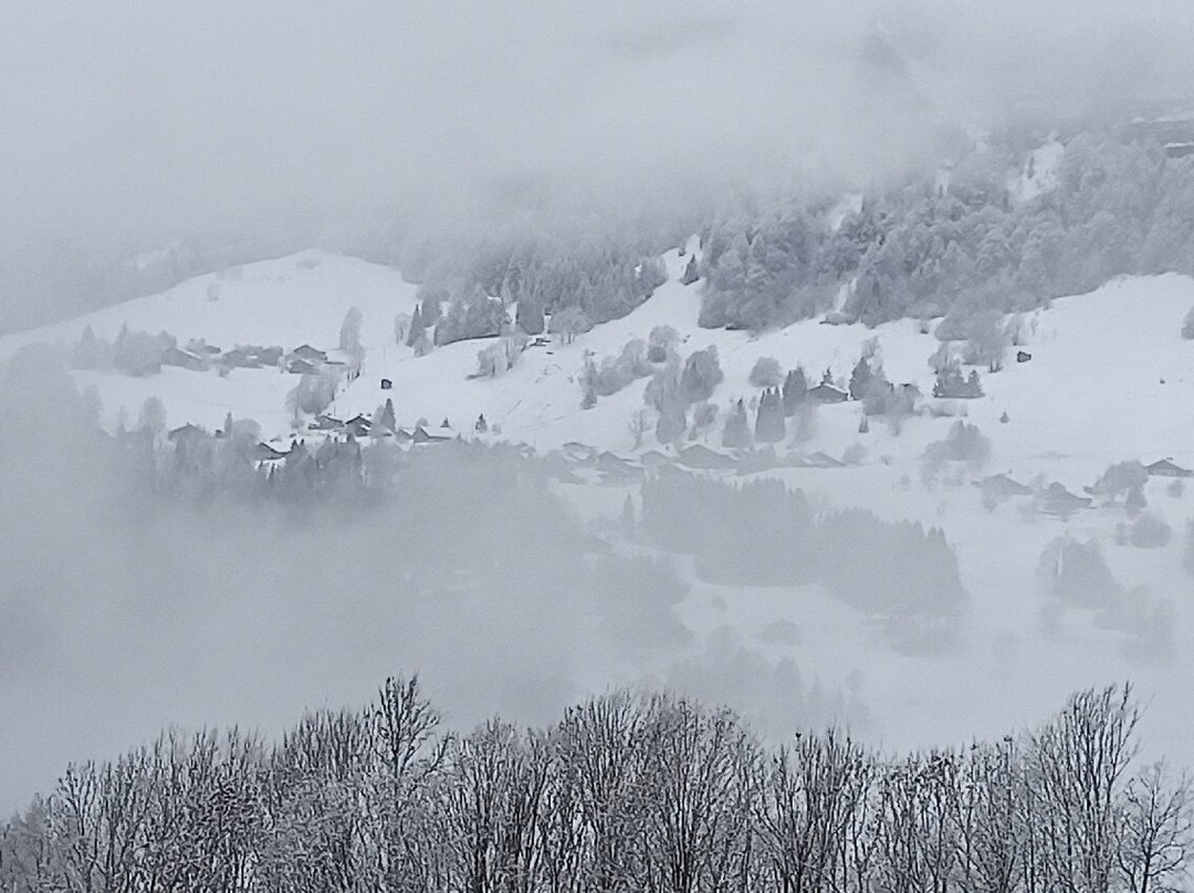 Notre Dame de Bellecombe Tourisme-Notre Dame de Bellecombe必去景点