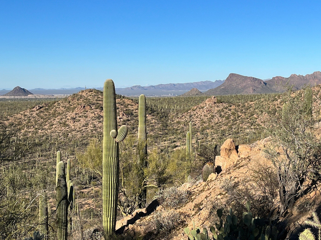 Red Hills Visitor Center-图森必去景点
