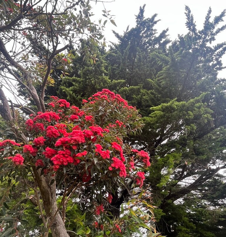 Tarra Yarram Motel主图