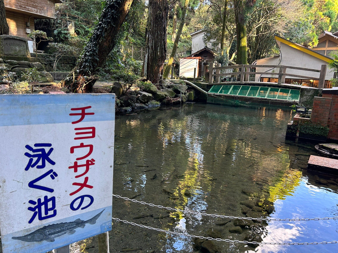 Kawakami Shrine-指宿市必去景点