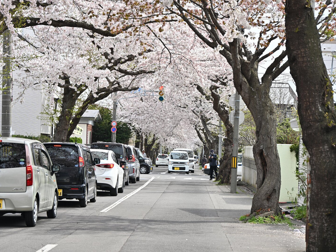 Sakuragaoka St.景点图片