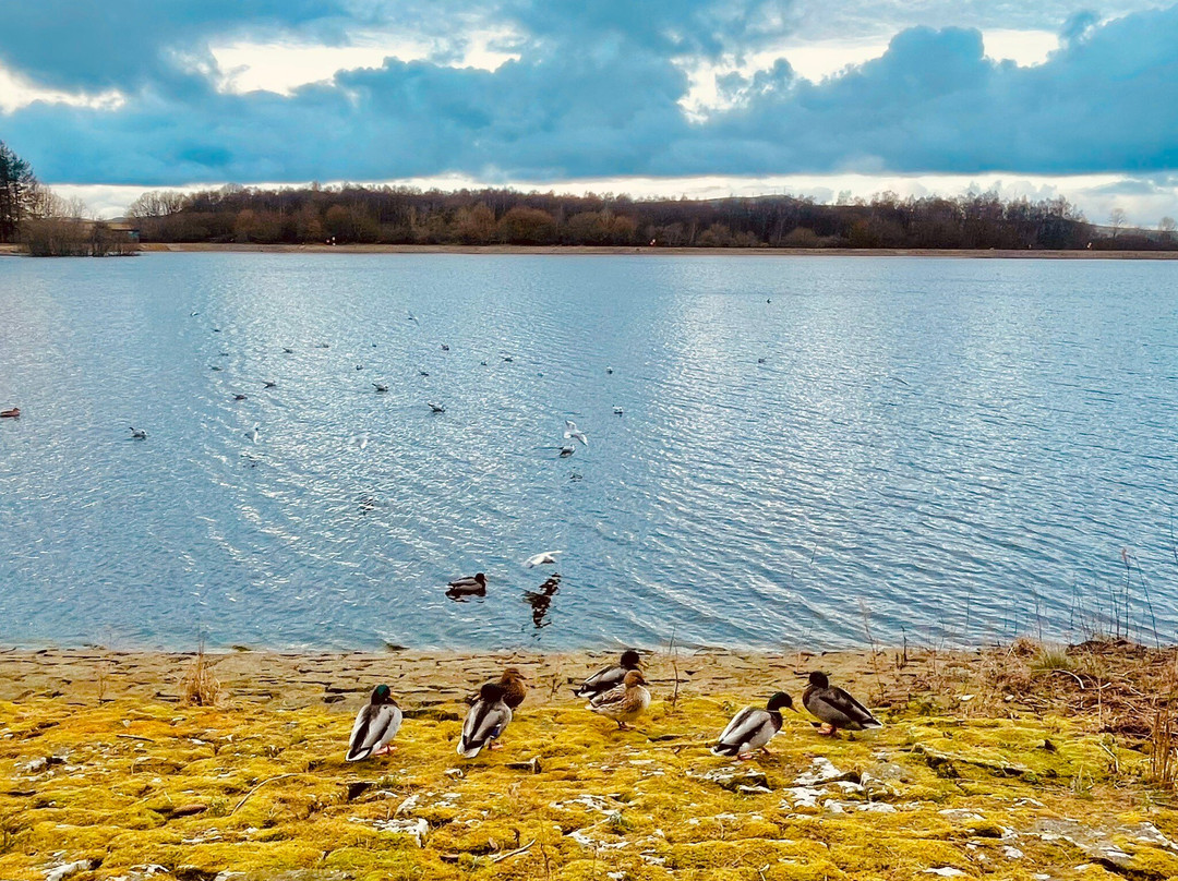 Clatto Country Park-敦提必去景点