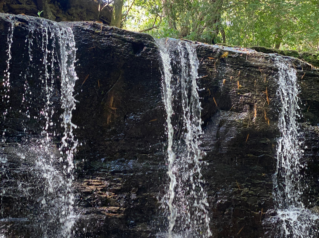 Cachoeira Noite Negra-Pirapozinho必去景点
