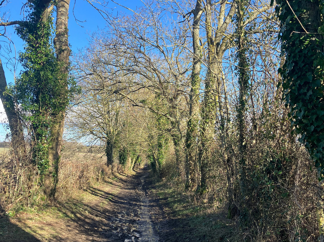 Sissinghurst Castle Estate Walking Trails景点图片