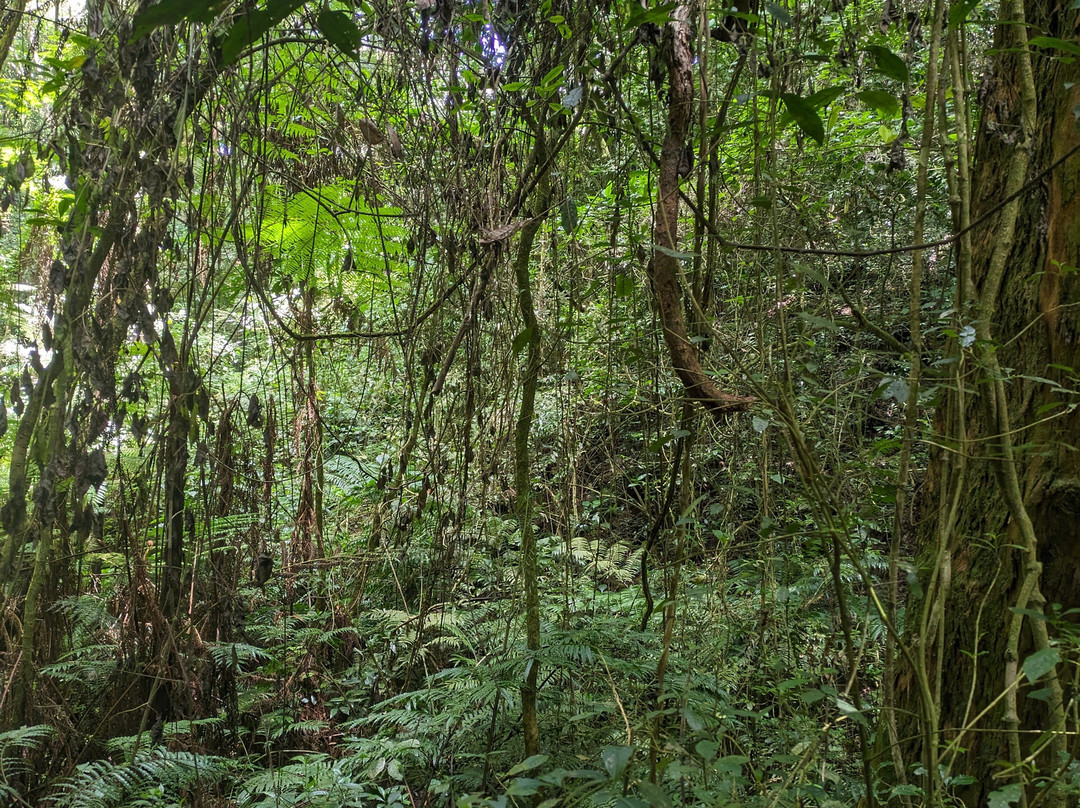 Irente Farm Lodge & Biodiversity Reserve主图