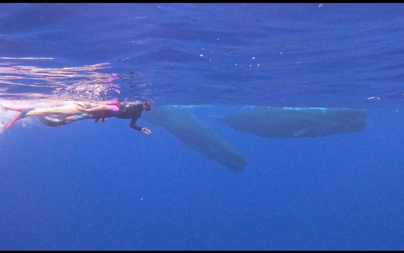 Ocean Brothers Mauritius-塔玛琳必去景点