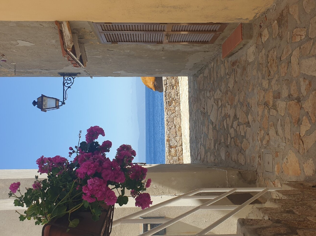 Giglio Island-Isola del Giglio必去景点