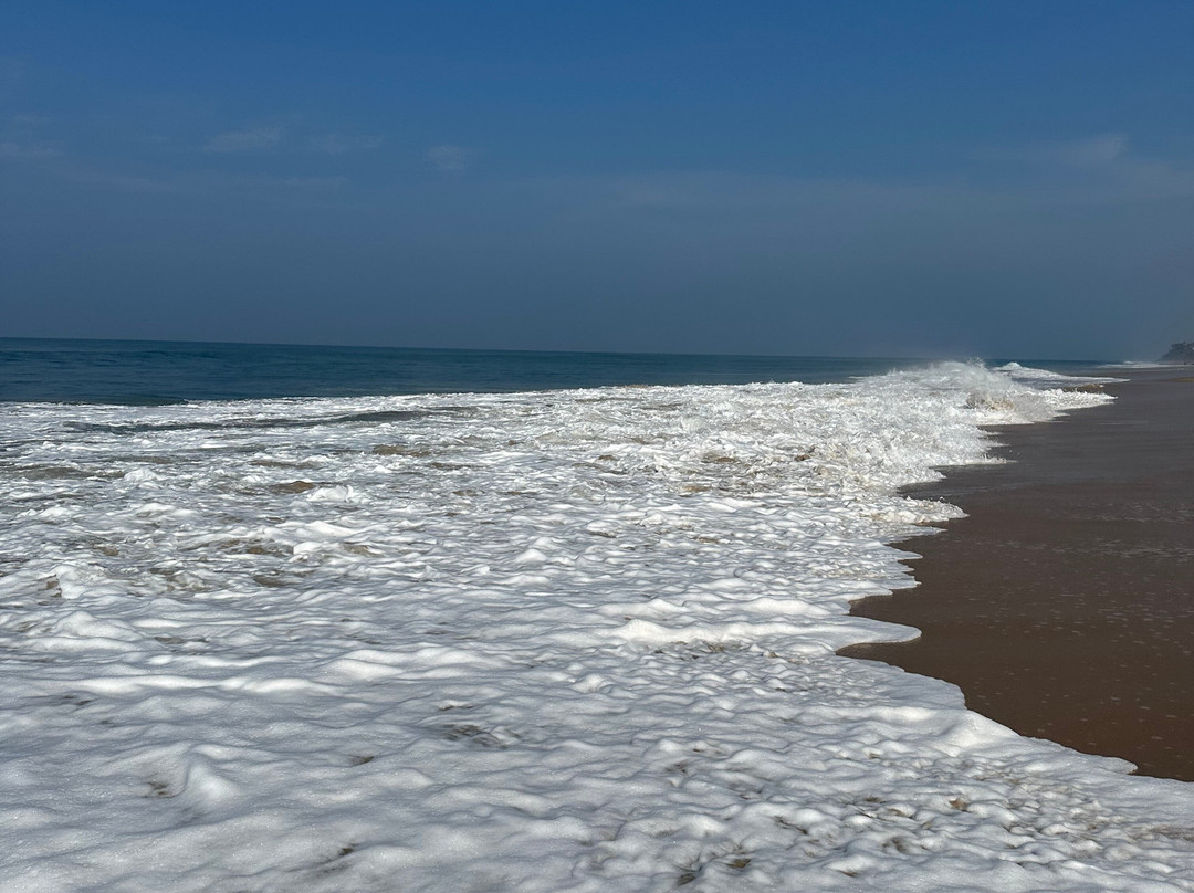 Malika Ayurveda Beach Resort主图