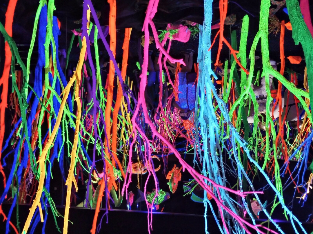 Meow Wolf Santa Fe-圣菲必去景点