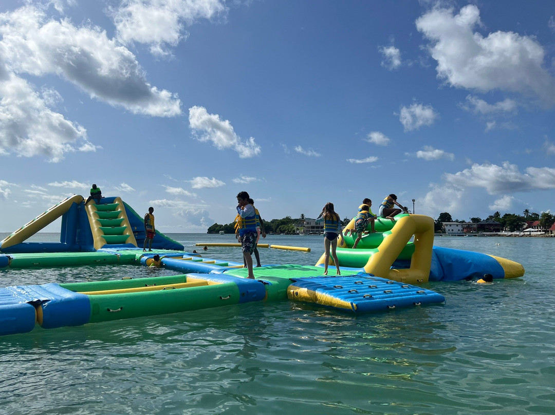 Danny's Inflatable Water Park-Buccoo必去景点