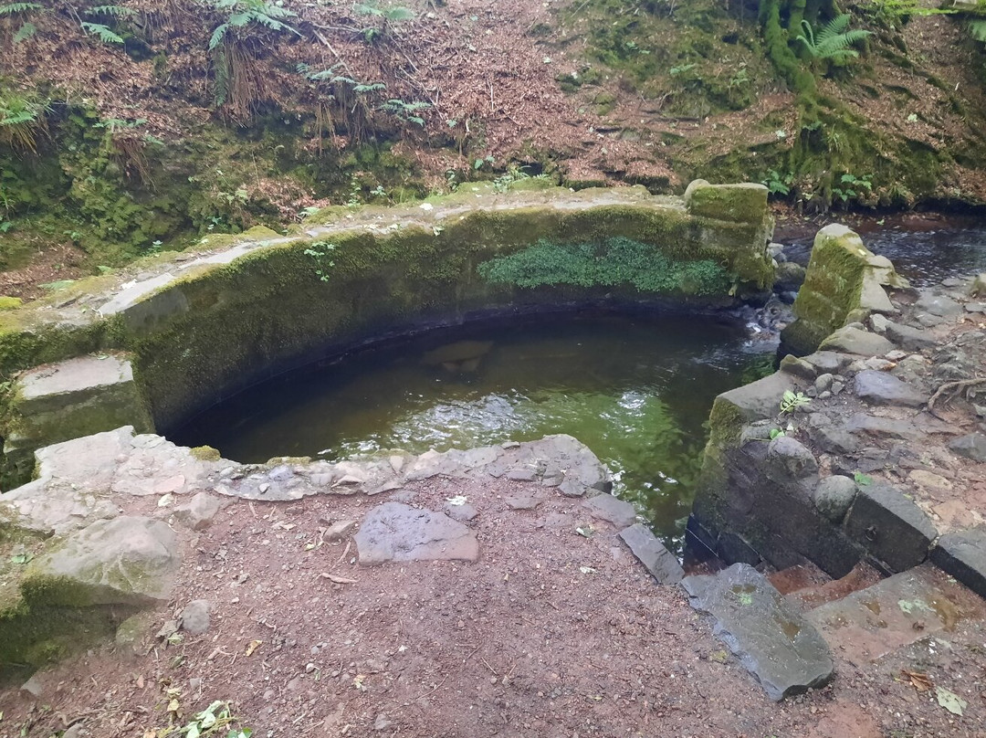 Dunnottar Woods-斯通黑文必去景点