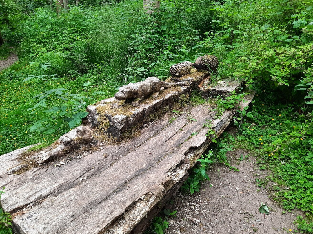 Dunnottar Woods-斯通黑文必去景点