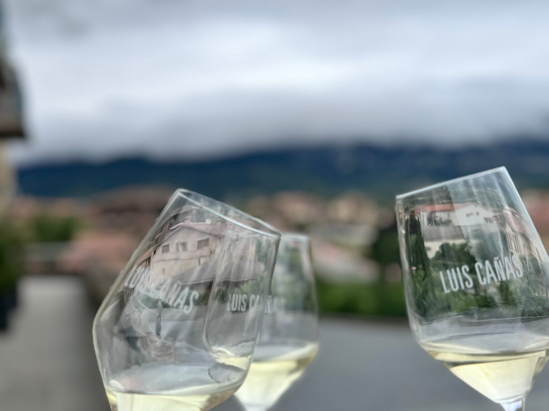 Bodegas Luis Canas景点图片