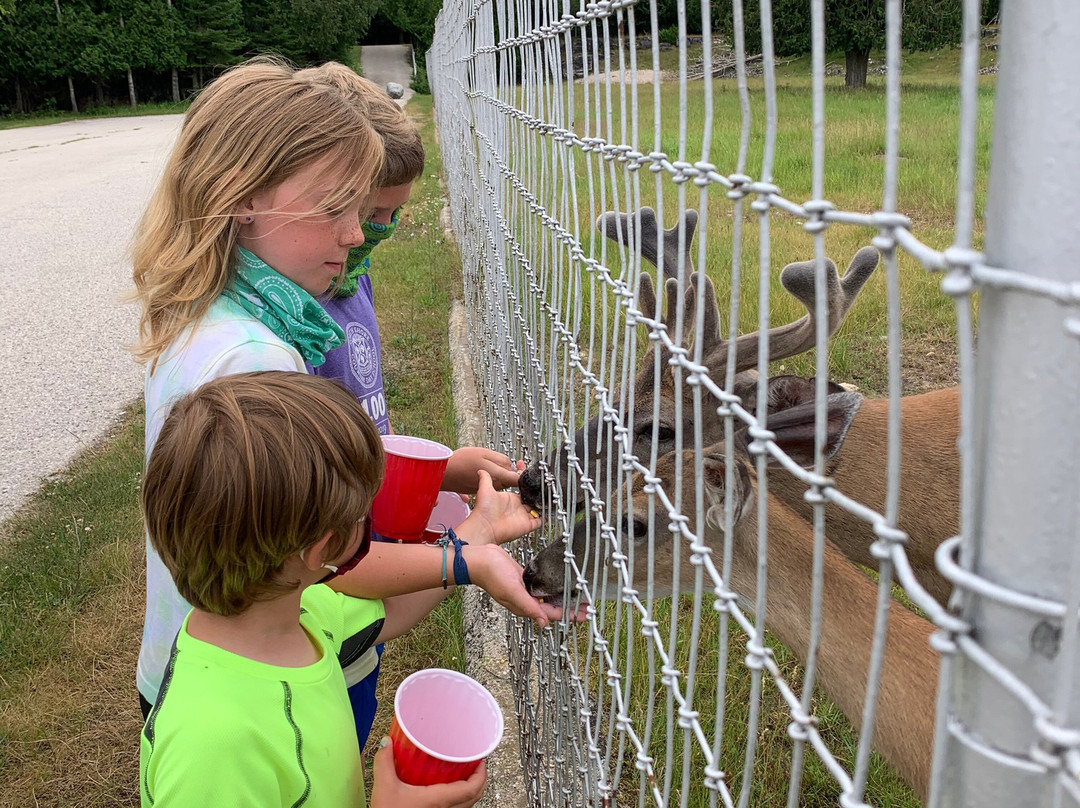 Bruemmer Park and Zoo-Kewaunee必去景点