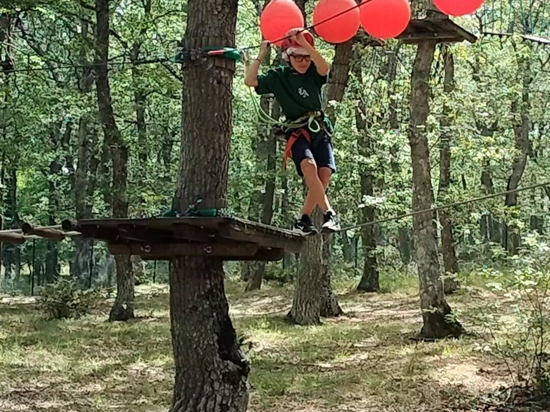 Parco Avventura景点图片