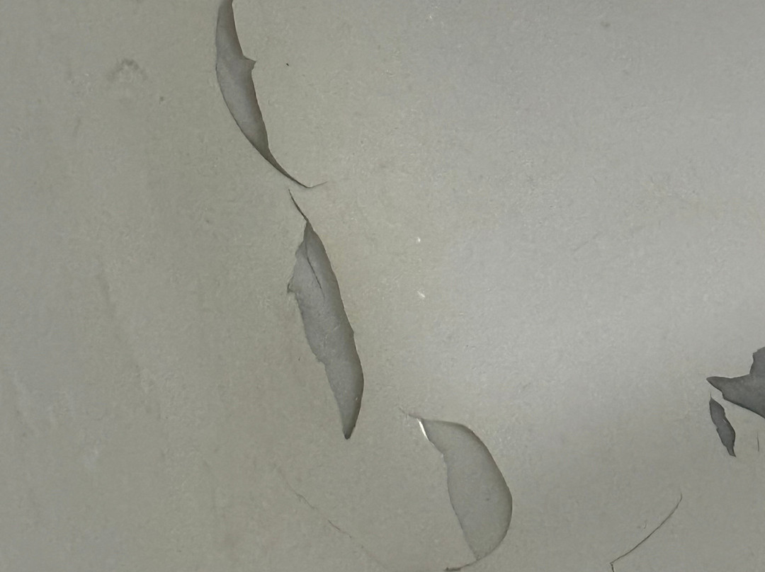 Best Western Inn Of Jasper主图