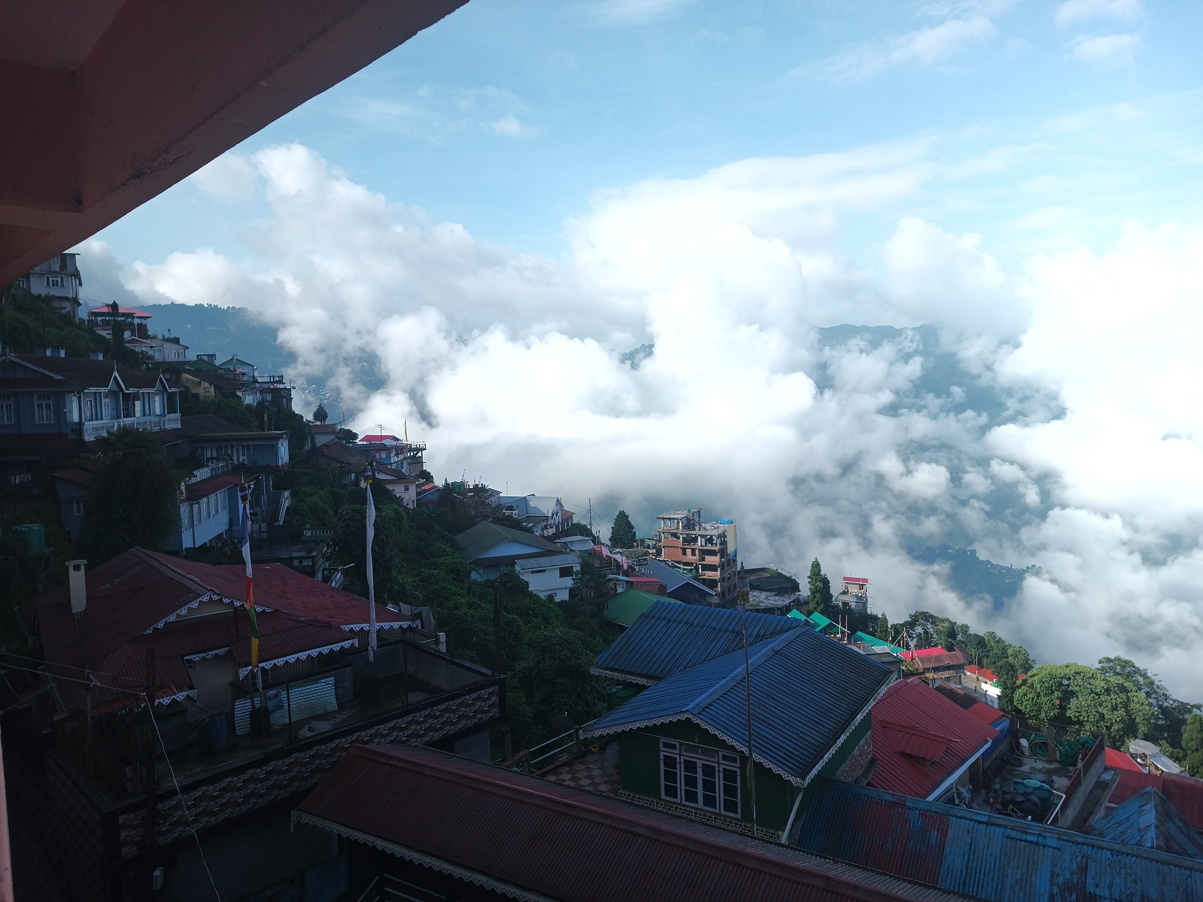 Little Singamari HomeStay-酒店景观