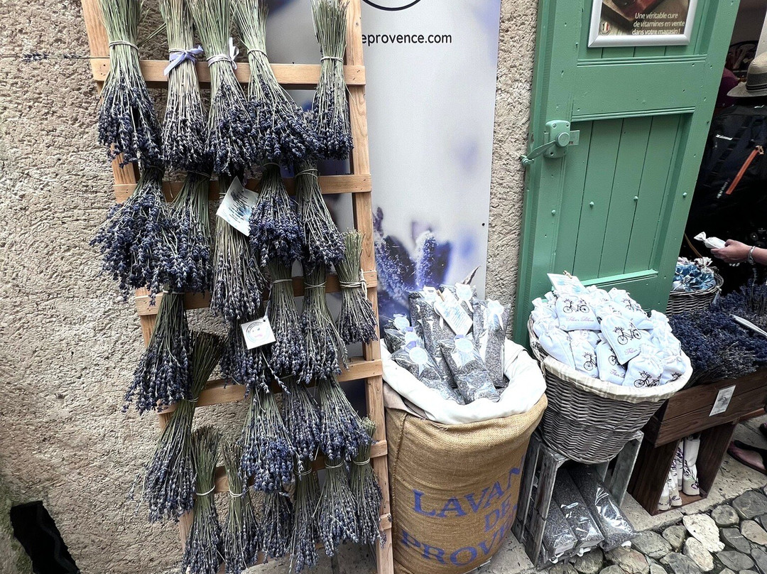 Folies de Provence景点图片