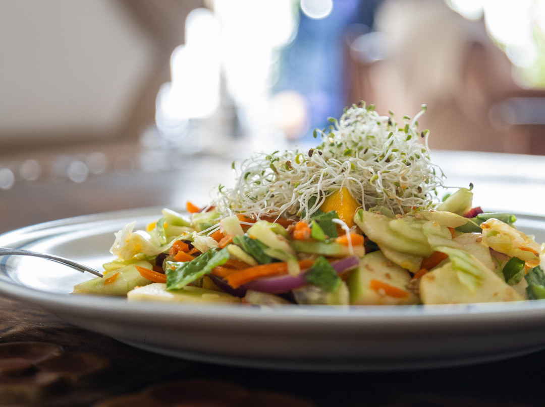 Salvere Casa Naturista-El Grullo必去景点