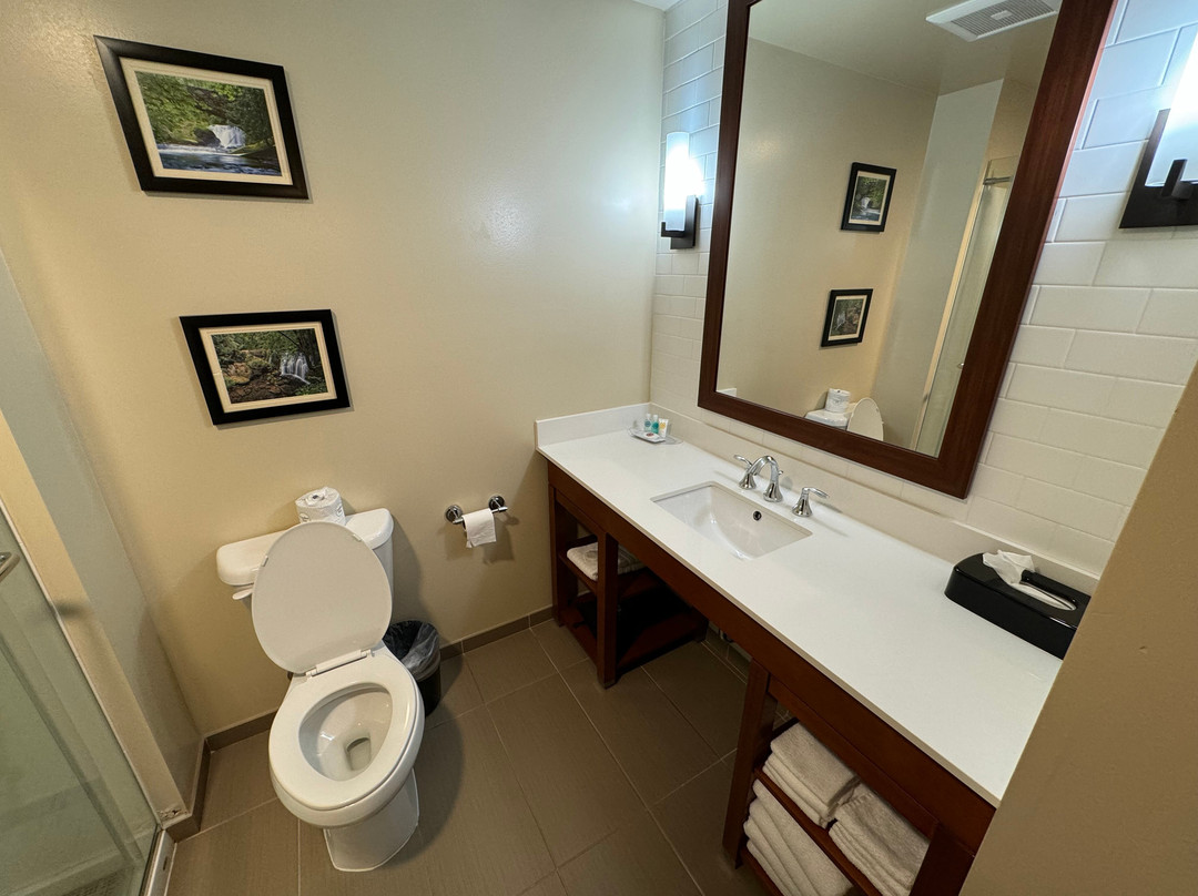 Comfort Suites Burlington Near I-5主图