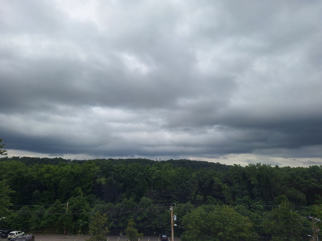 D. Hotel Suites and Spa主图