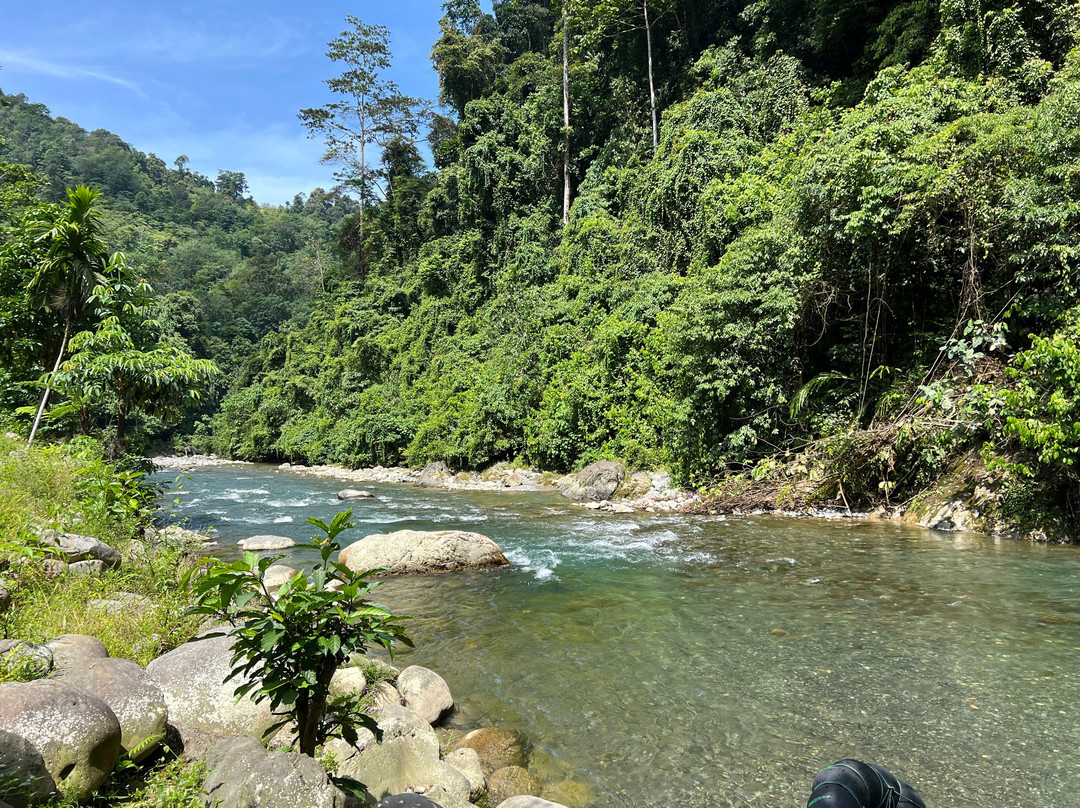 Sumatra Orangutan Tropical Tours-武吉拉旺必去景点