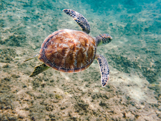 Hidden Gems Local Tours-Aguadilla必去景点