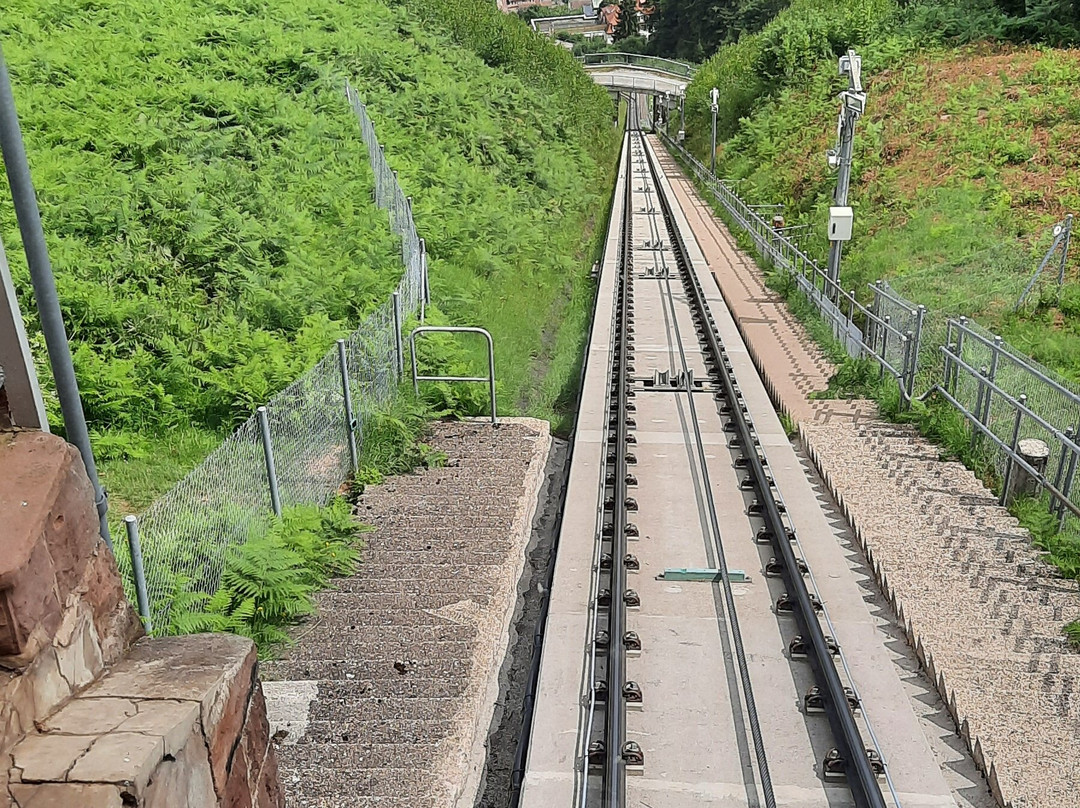 The Sommerberg Funicular Railway景点图片