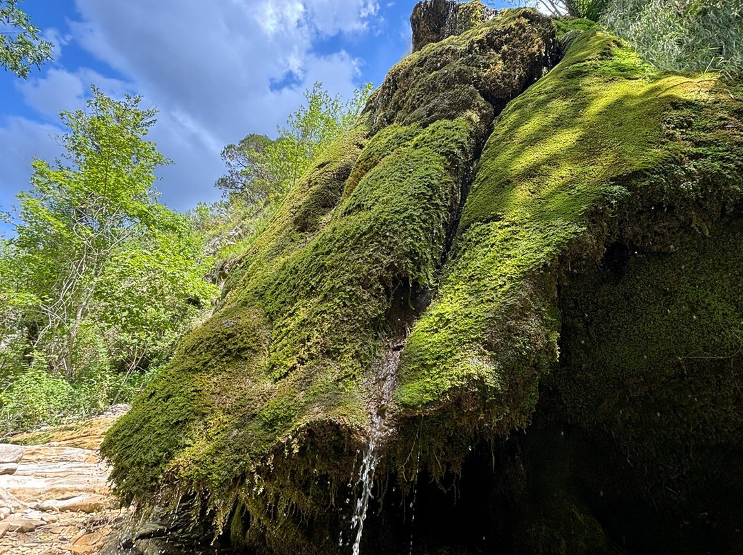 Waterfalls at River Zhane景点图片