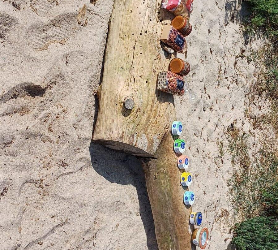 Espace Crouesty-Arzon必去景点