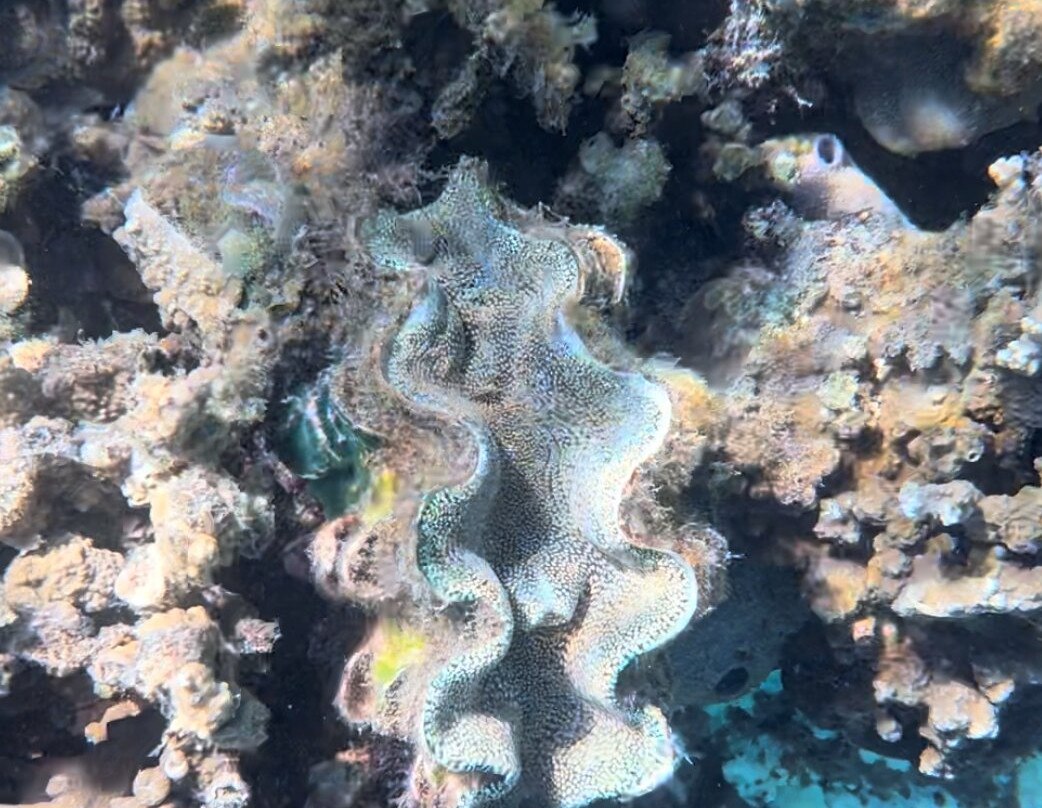 Nosy Sakatia景点图片