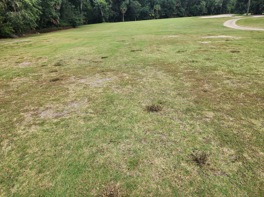 Spruce Creek Country Club景点图片