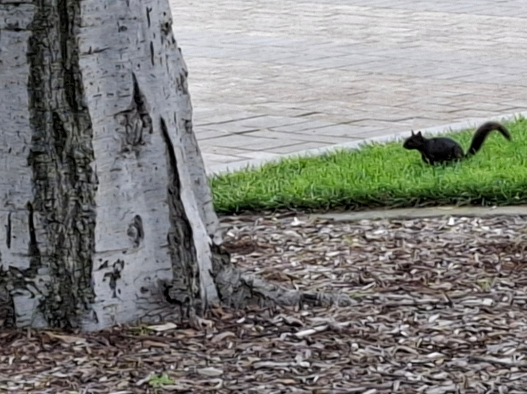 Shashi Hotel Mountain View, an Urban Resort主图