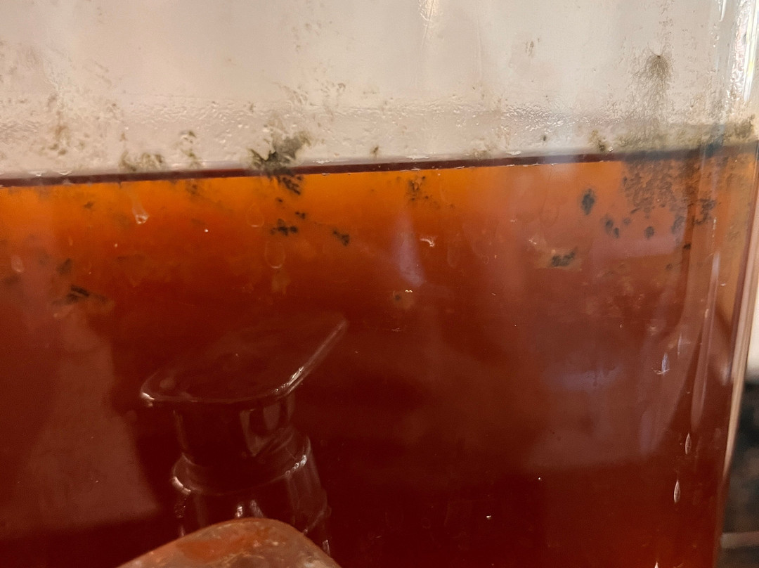 Super 8 by Wyndham Covington主图