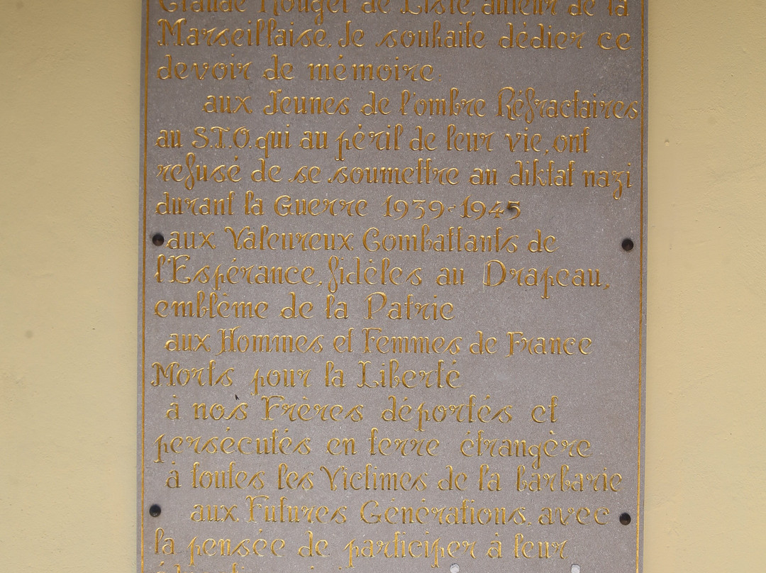 Musee Rouget de Lisle景点图片