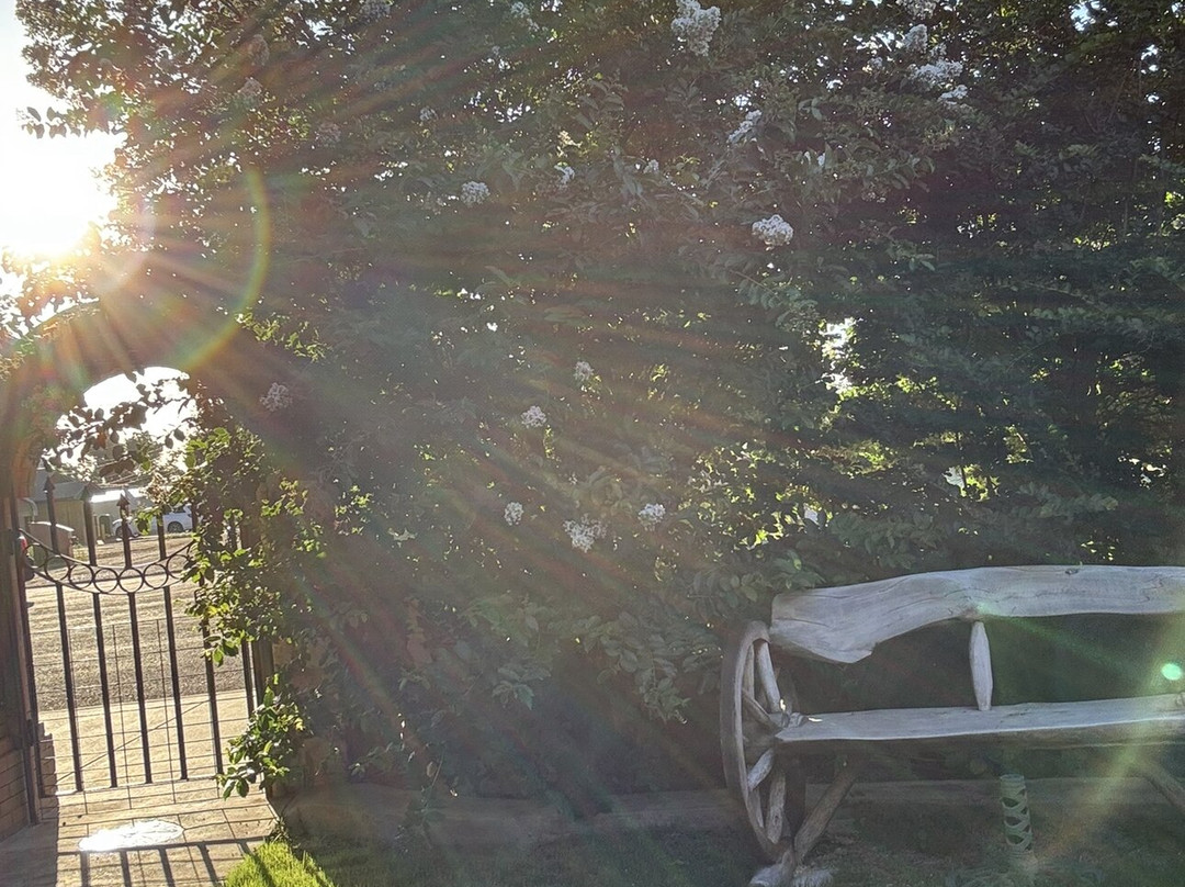 Hotel Matador Bed and Breakfast主图