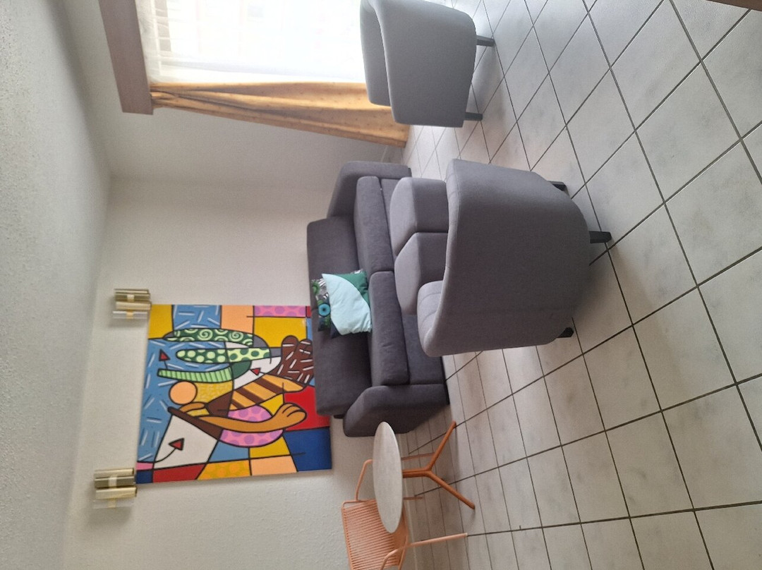 ibis Styles Cayenne Centre Amazonia主图