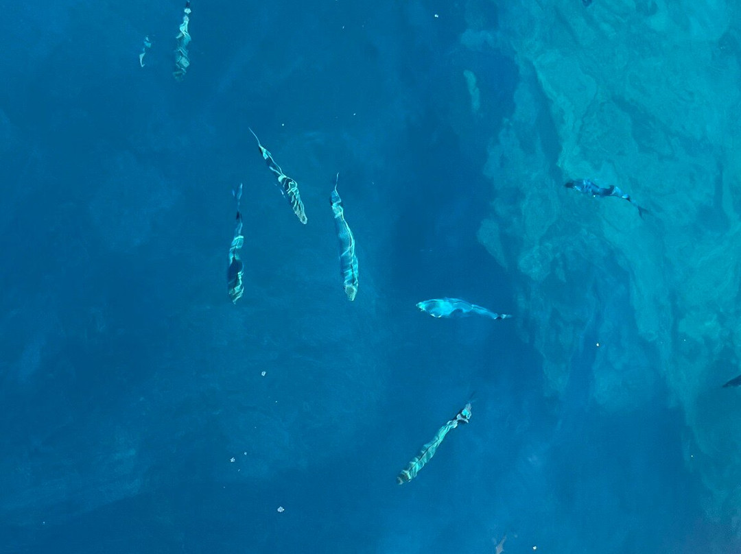 Kaminaki Boats and Watersports-Nissaki必去景点