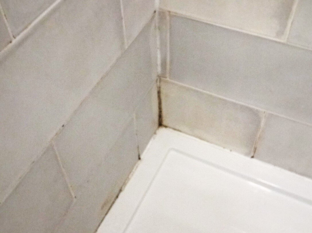 The Willow House主图