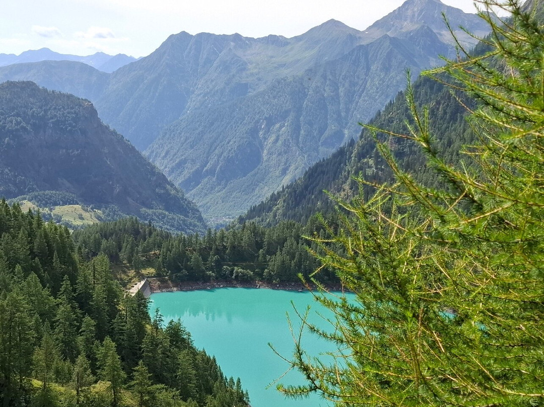 Lago Alpe dei Cavalli景点图片