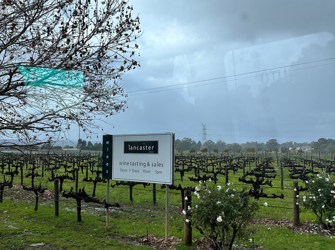 Out & About Wine Tours景点图片