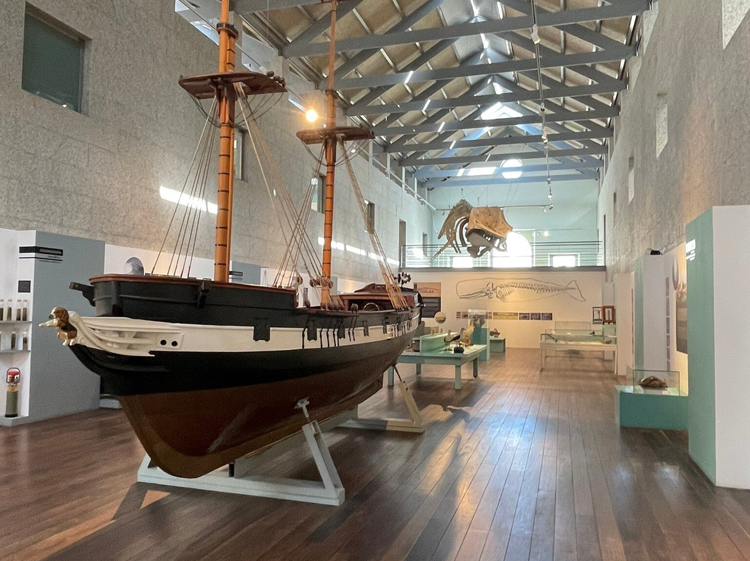 Museo do Mar de Galicia-比戈必去景点