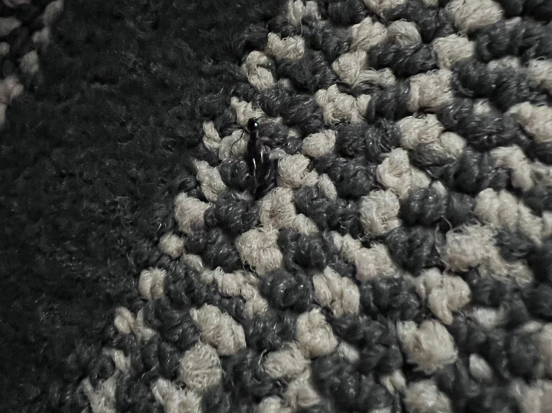 Baymont by Wyndham Clarksville主图