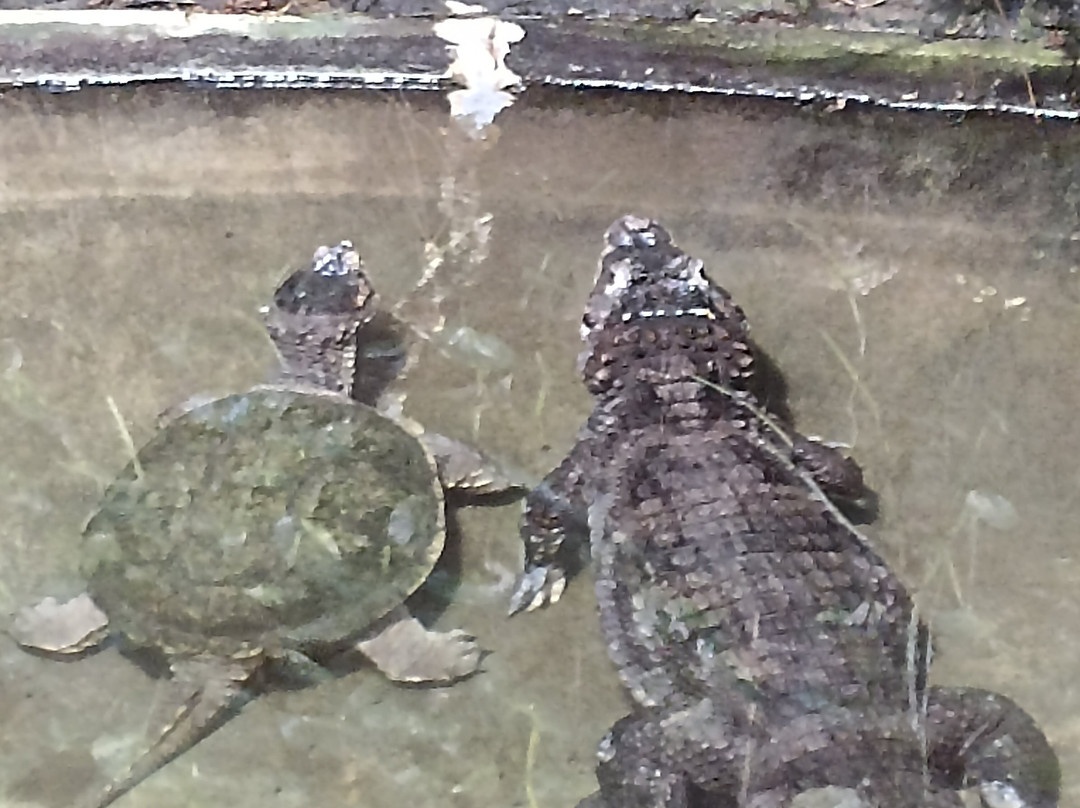 Zoo Osnabrück-奥斯纳布吕克必去景点